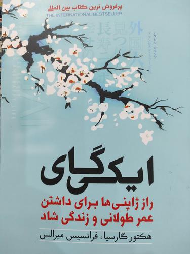 ایکی گای